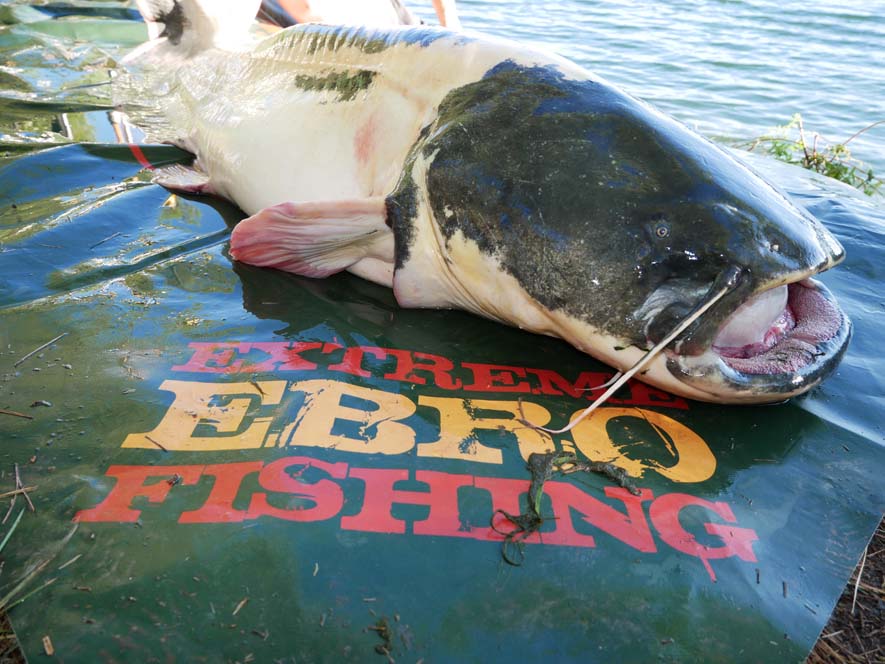 (c) Extreme-ebrofishing.com